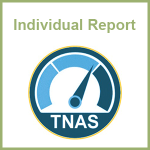 individual report